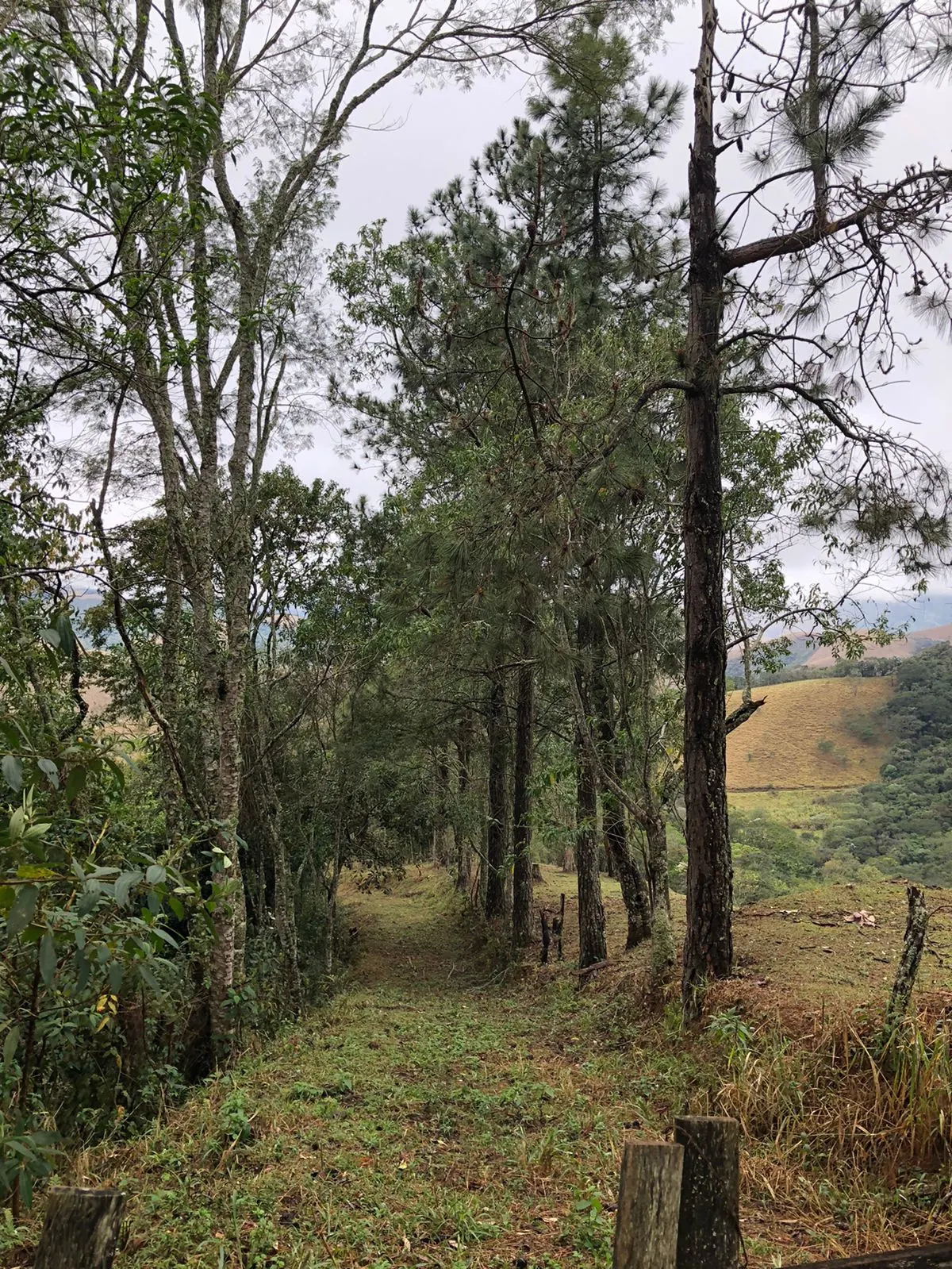 Terreno à venda de 3 ha em Monteiro Lobato, SP, Brasil