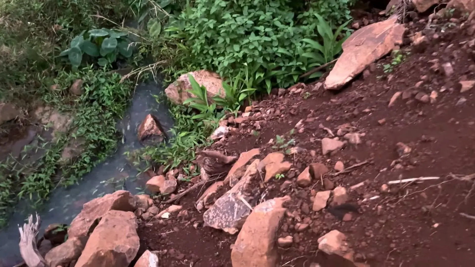 Chácara à venda de 2 ha em Santo Antônio da Patrulha, RS, Brasil