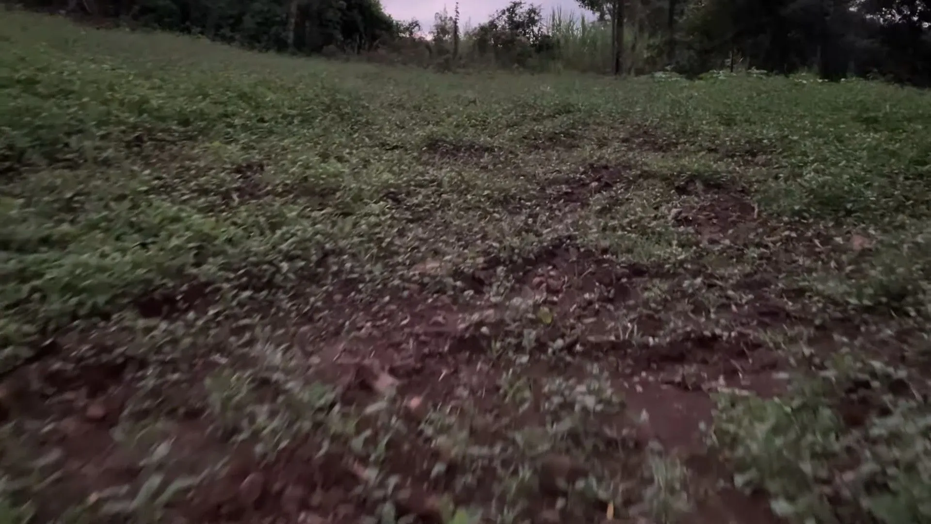 Chácara à venda de 2 ha em Santo Antônio da Patrulha, RS, Brasil