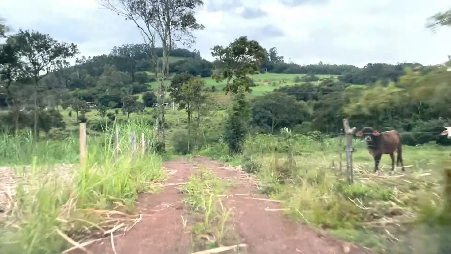 Chácara à venda de 2 ha em Santo Antônio da Patrulha, RS, Brasil