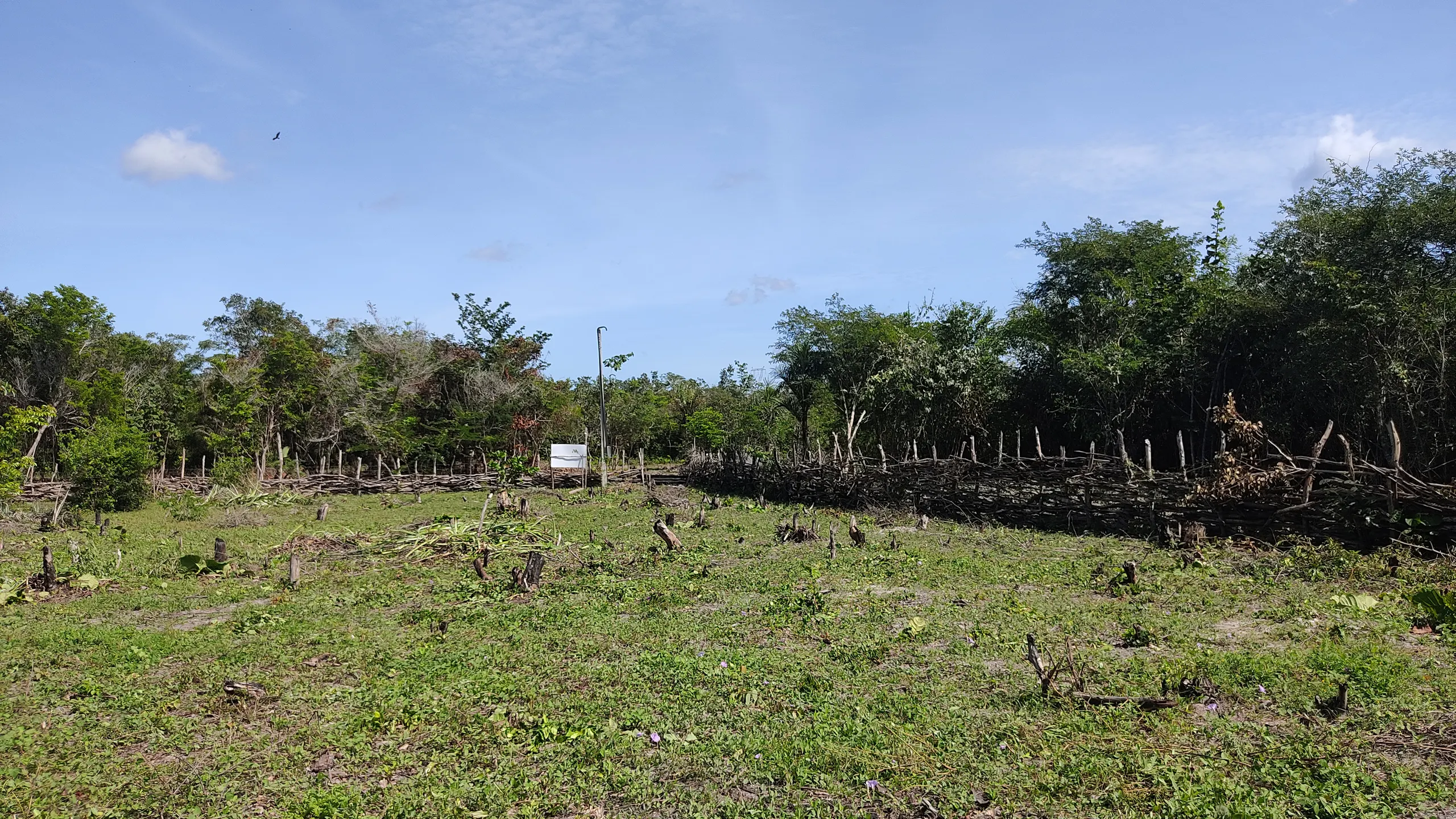 Fazenda à venda de 362 ha em Camocim, CE, Brasil