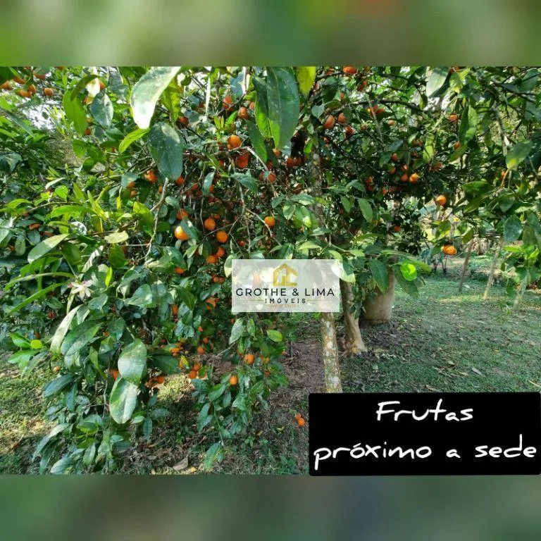 Small farm for sale of 110 acres in Cunha, SP, Brazil