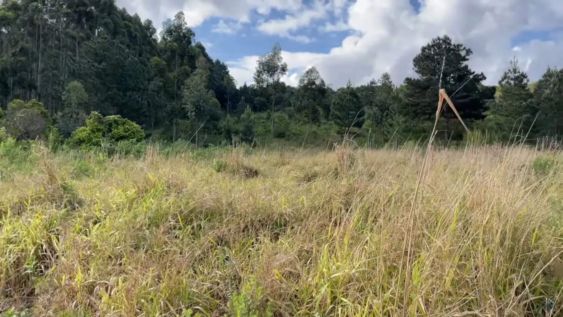 Plot for sale of 35 acres in Caraá, RS, Brazil