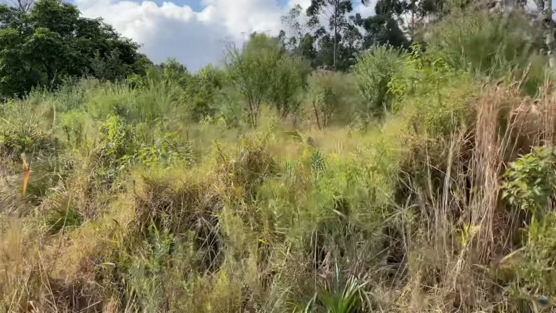 Plot for sale of 35 acres in Caraá, RS, Brazil