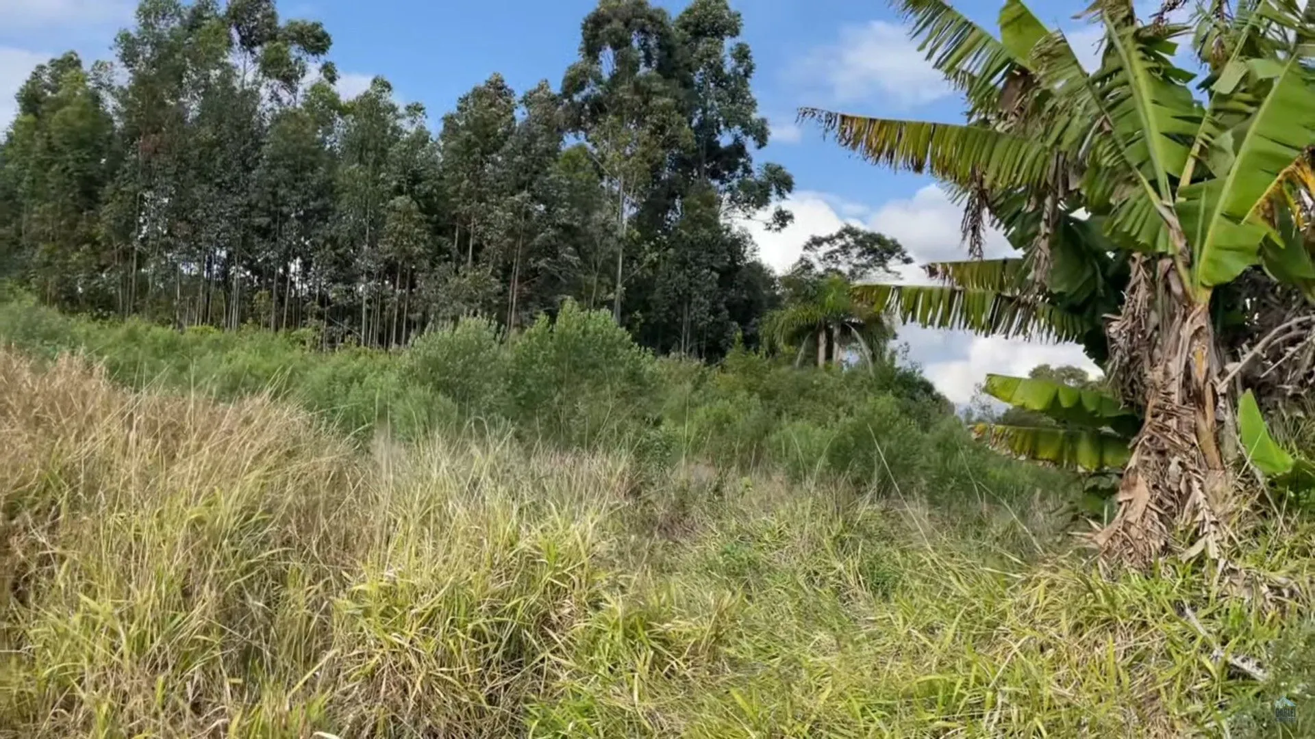 Plot for sale of 35 acres in Caraá, RS, Brazil