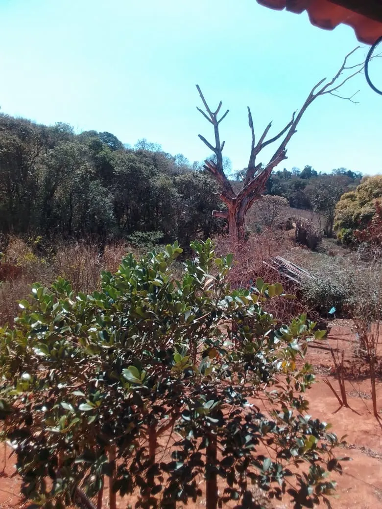 Chácara à venda de 2 ha em Ouro Fino, MG, Brasil