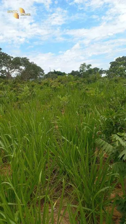 Fazenda à venda de 1.200 ha em Cuiabá, MT, Brasil