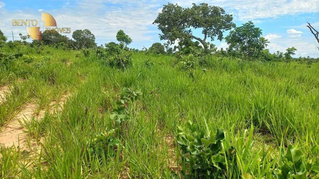 Fazenda à venda de 1.200 ha em Cuiabá, MT, Brasil