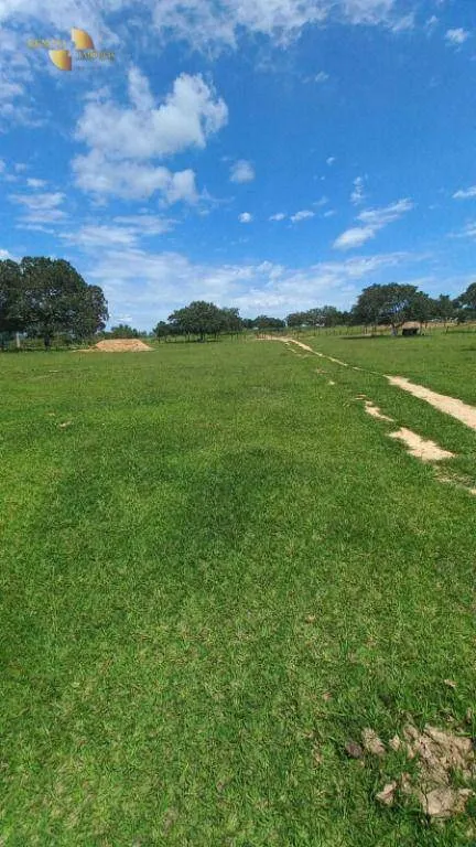 Fazenda à venda de 1.200 ha em Cuiabá, MT, Brasil