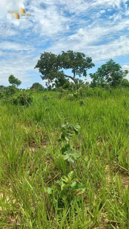 Fazenda à venda de 1.200 ha em Cuiabá, MT, Brasil