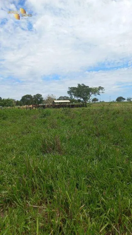 Fazenda à venda de 1.200 ha em Cuiabá, MT, Brasil