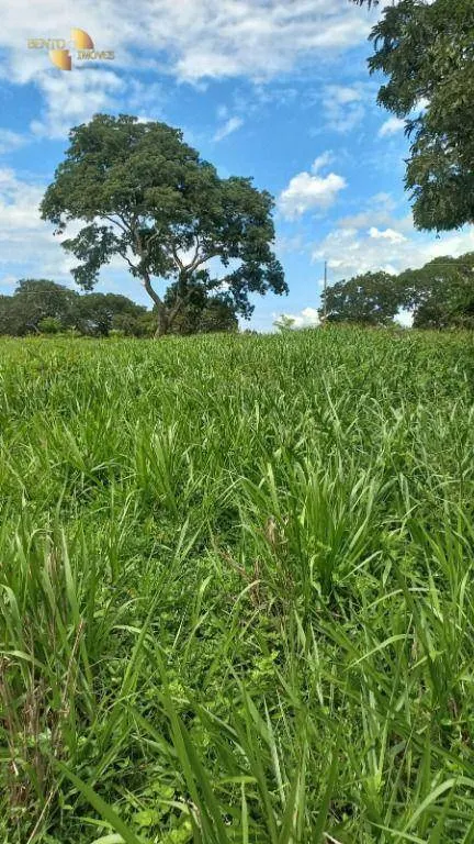 Fazenda à venda de 1.200 ha em Cuiabá, MT, Brasil