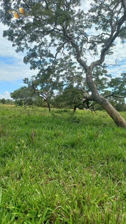 Fazenda à venda de 1.200 ha em Cuiabá, MT, Brasil