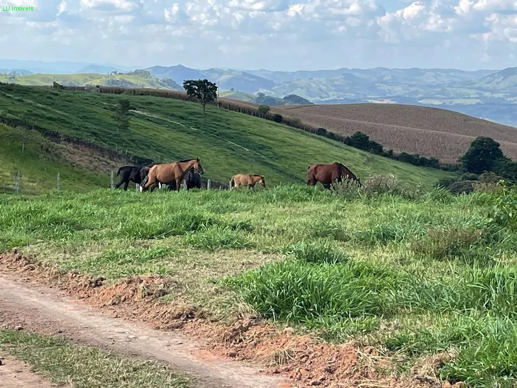 Fazenda à venda de 140 ha em Socorro, SP, Brasil