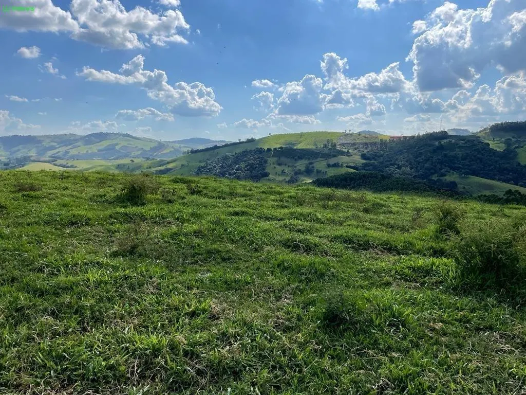Fazenda à venda de 140 ha em Socorro, SP, Brasil
