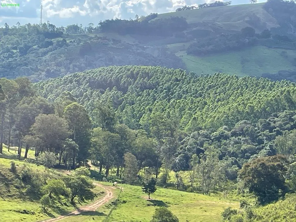Fazenda à venda de 140 ha em Socorro, SP, Brasil