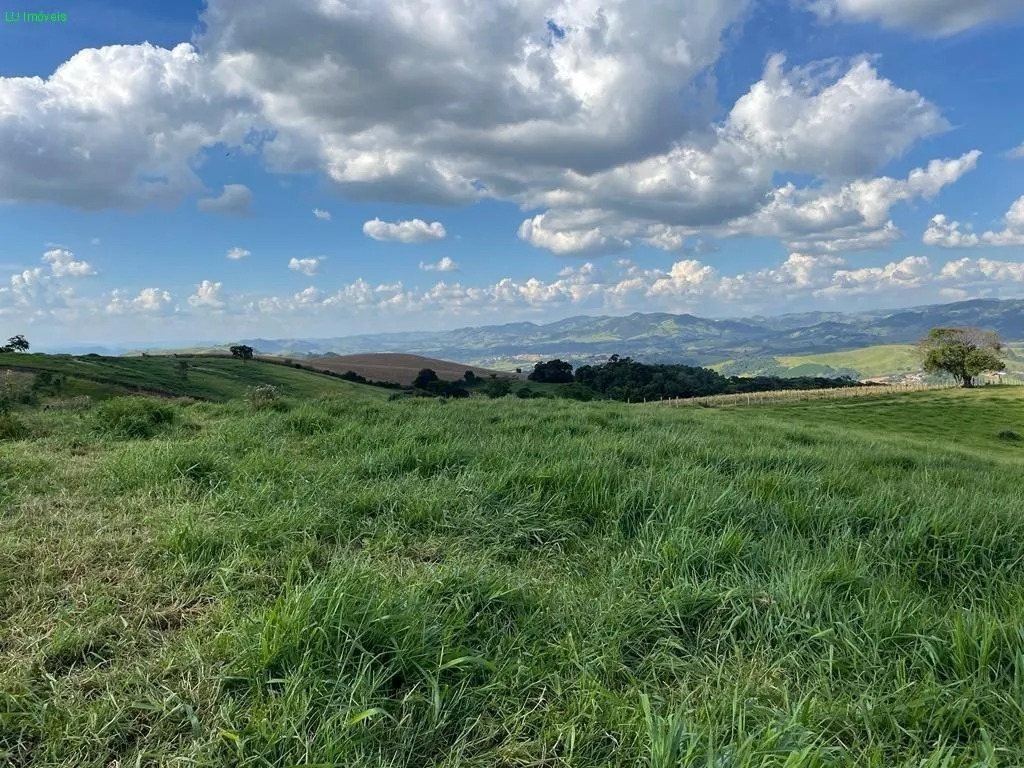 Fazenda à venda de 140 ha em Socorro, SP, Brasil
