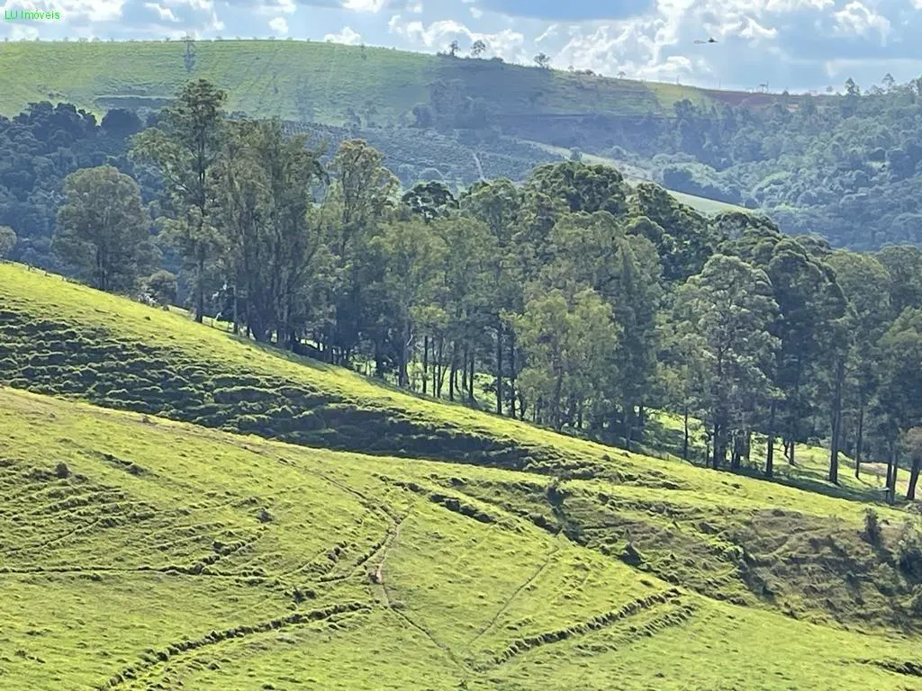 Fazenda à venda de 140 ha em Socorro, SP, Brasil