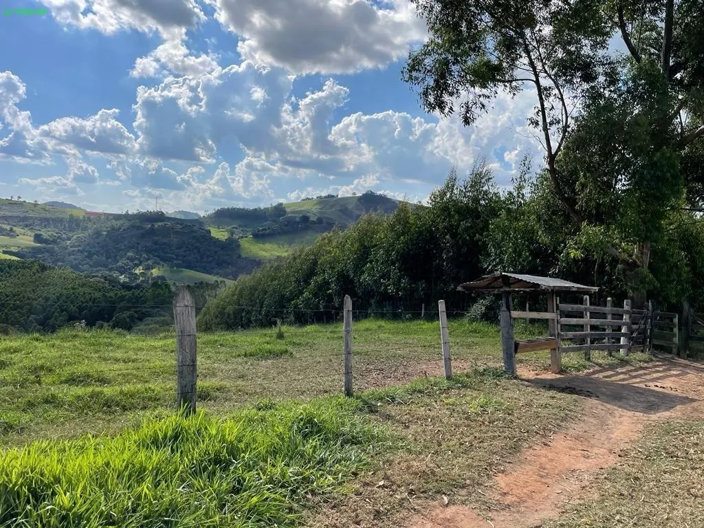 Fazenda à venda de 140 ha em Socorro, SP, Brasil