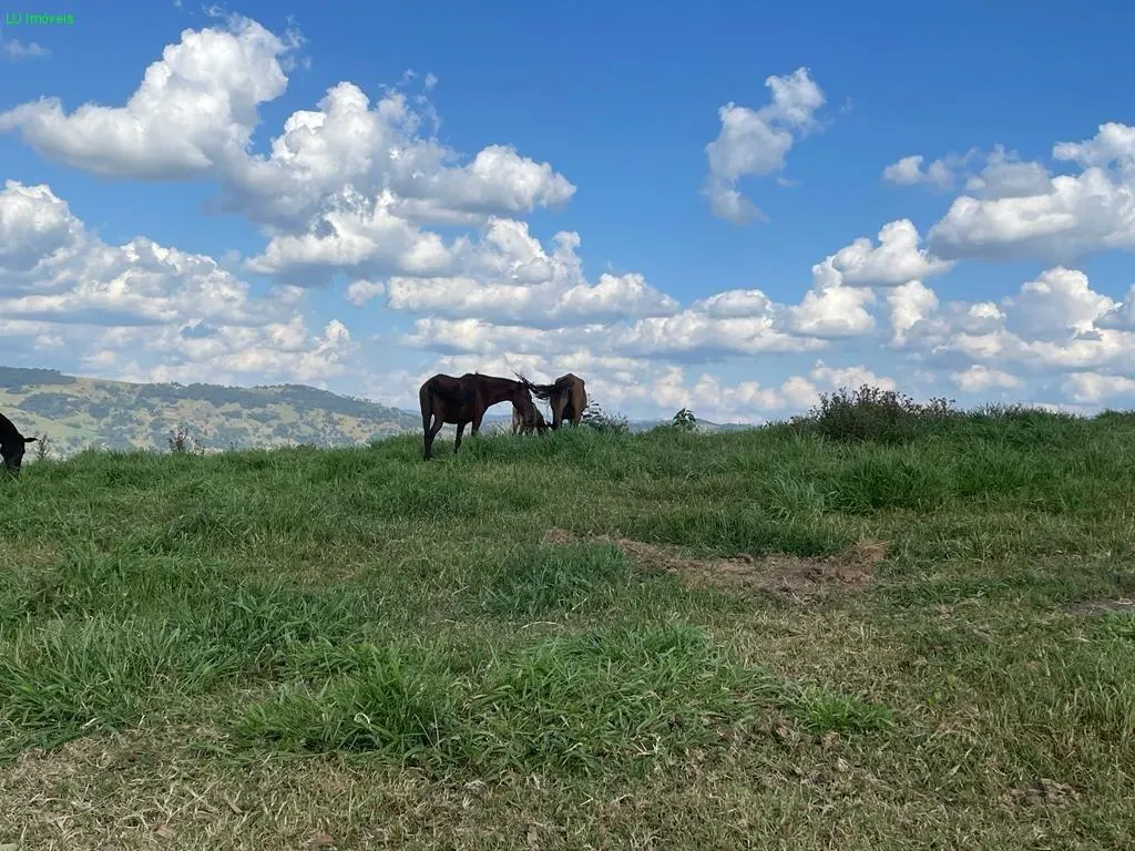 Fazenda à venda de 140 ha em Socorro, SP, Brasil