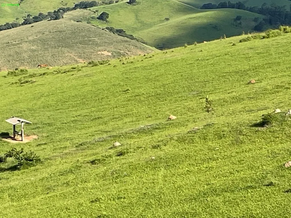 Fazenda à venda de 140 ha em Socorro, SP, Brasil