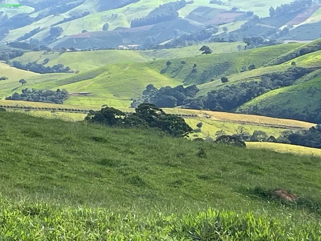 Fazenda à venda de 140 ha em Socorro, SP, Brasil