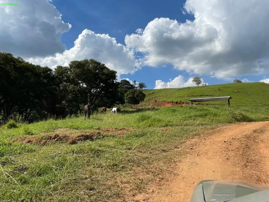 Fazenda à venda de 140 ha em Socorro, SP, Brasil