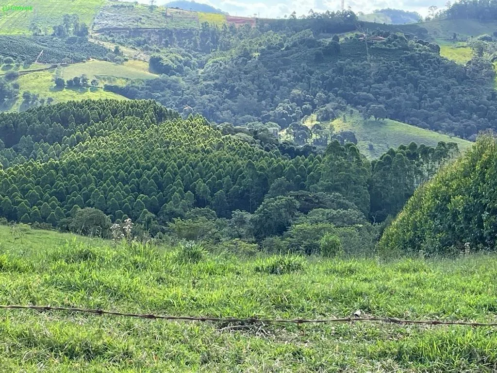 Fazenda à venda de 140 ha em Socorro, SP, Brasil