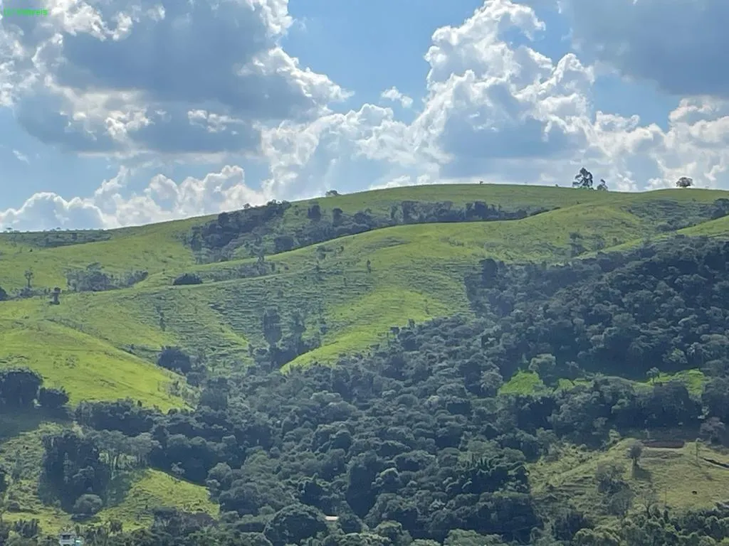 Fazenda à venda de 140 ha em Socorro, SP, Brasil