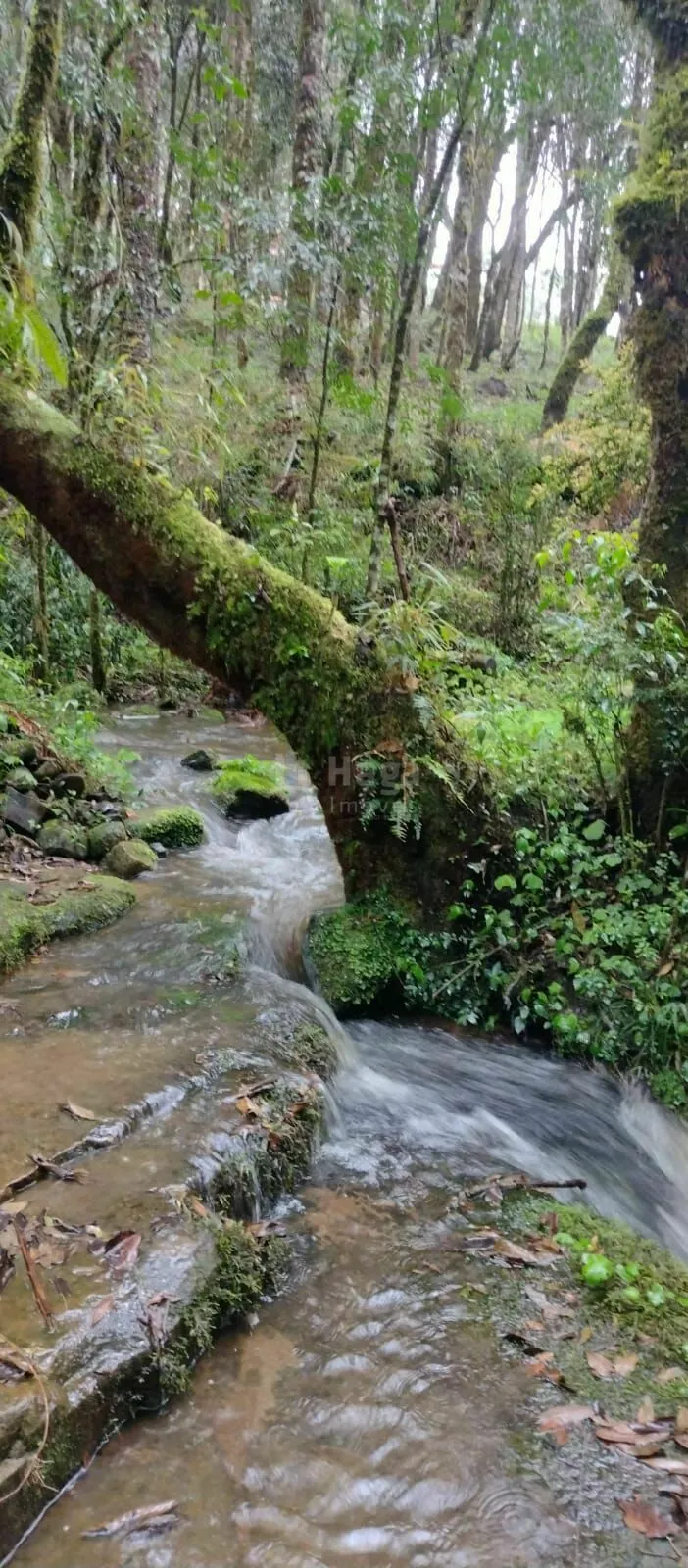 Chácara à venda de 2 ha em Urubici, SC, Brasil
