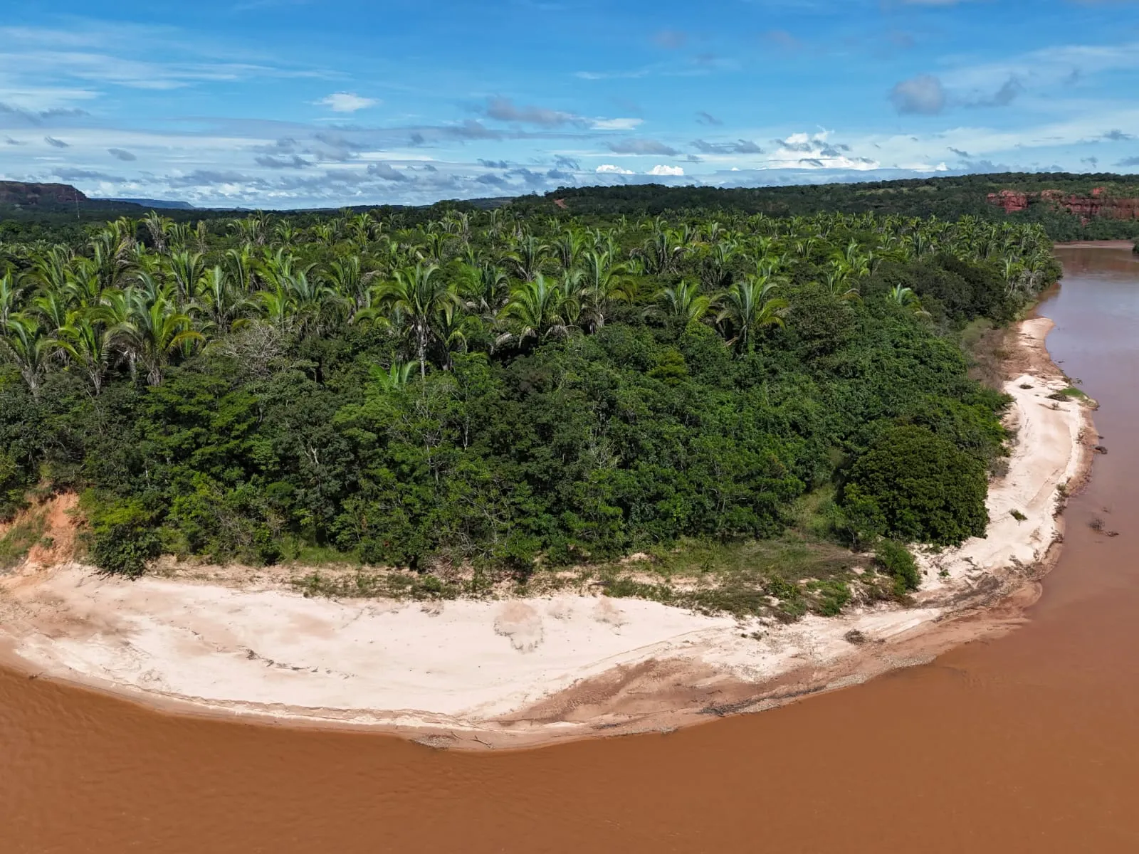 Fazenda à venda de 260 ha em Guiratinga, MT, Brasil