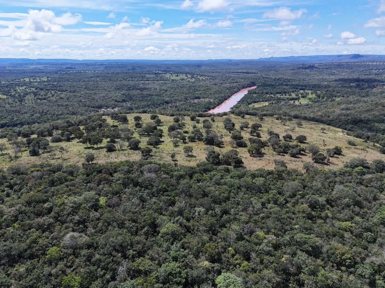 Fazenda à venda de 260 ha em Guiratinga, MT, Brasil