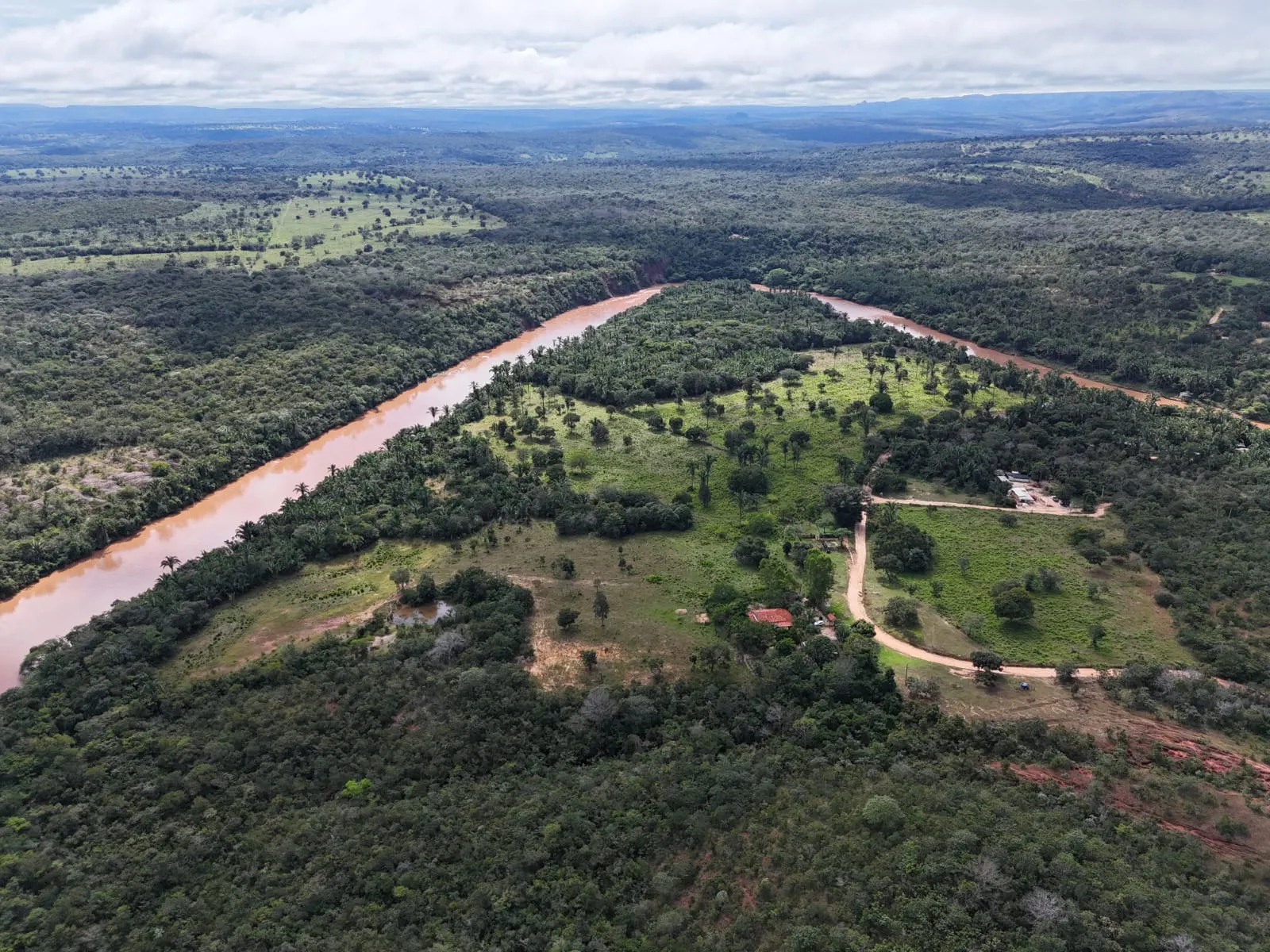Fazenda à venda de 260 ha em Guiratinga, MT, Brasil
