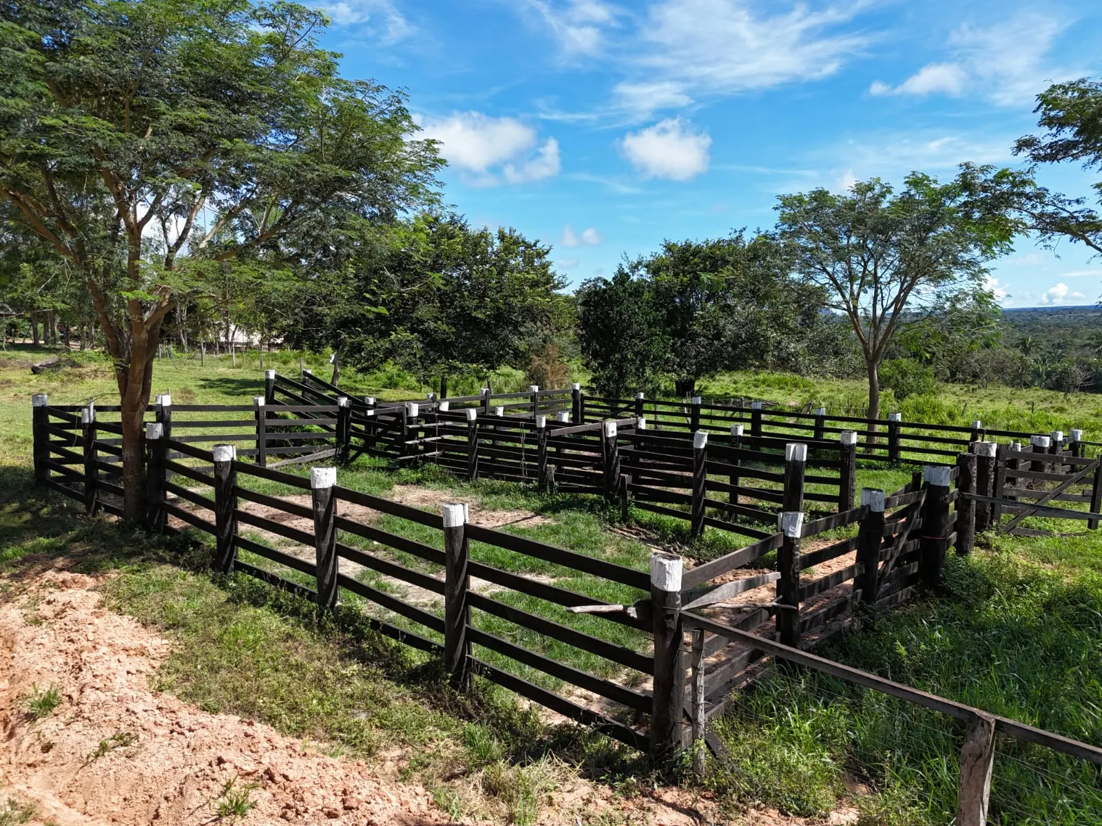 Fazenda à venda de 260 ha em Guiratinga, MT, Brasil