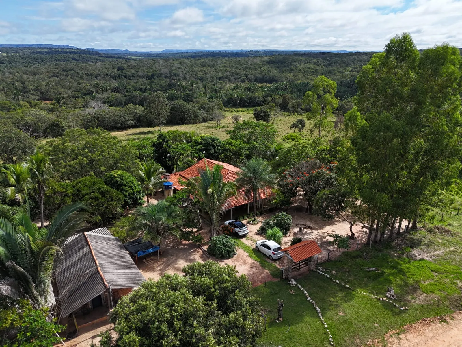 Fazenda à venda de 260 ha em Guiratinga, MT, Brasil