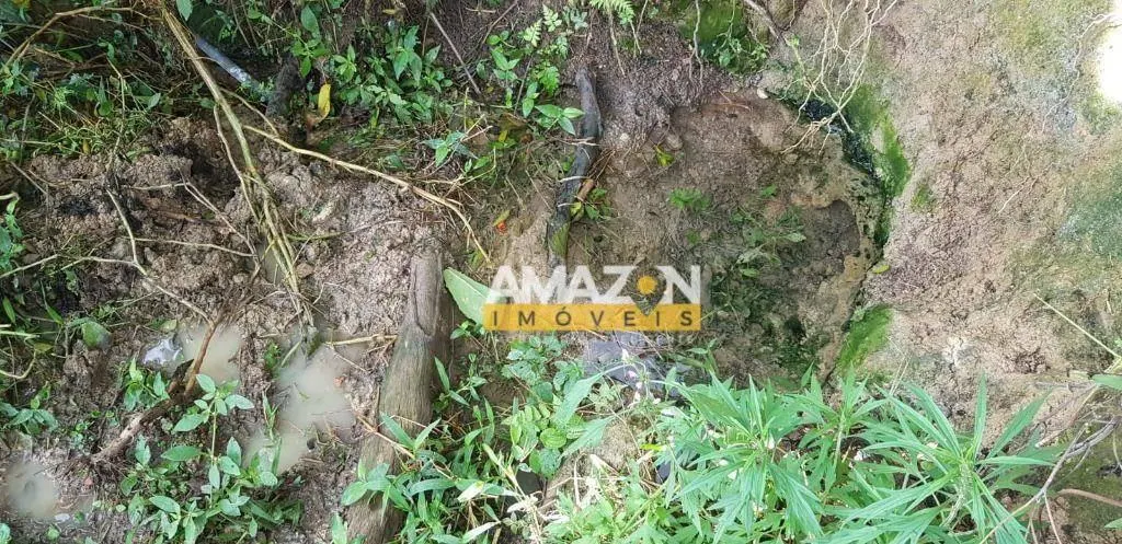 Fazenda à venda de 186 ha em Natividade da Serra, SP, Brasil