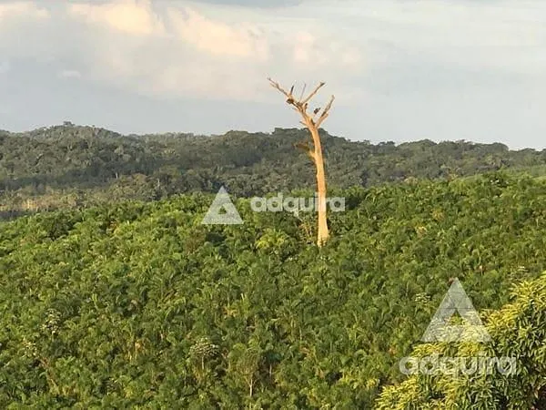 Sítio à venda de 44 ha em Iguape, SP, Brasil