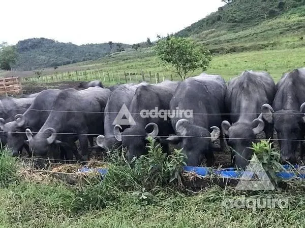 Sítio à venda de 44 ha em Iguape, SP, Brasil