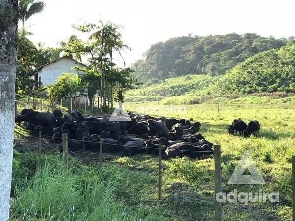 Sítio à venda de 44 ha em Iguape, SP, Brasil