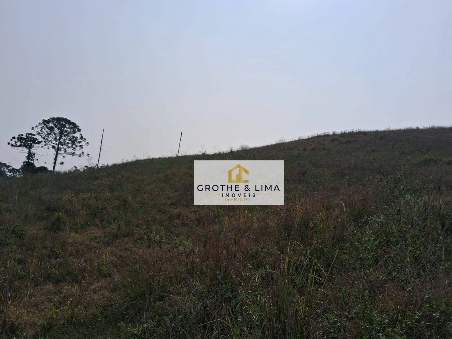 Small farm for sale of 24 acres in Lagoinha, SP, Brazil
