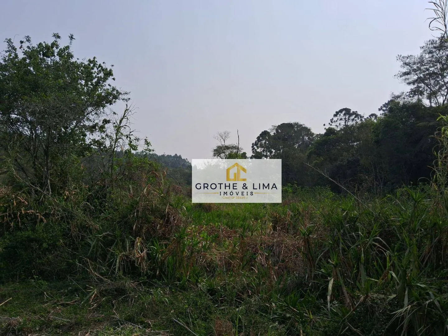 Small farm for sale of 24 acres in Lagoinha, SP, Brazil