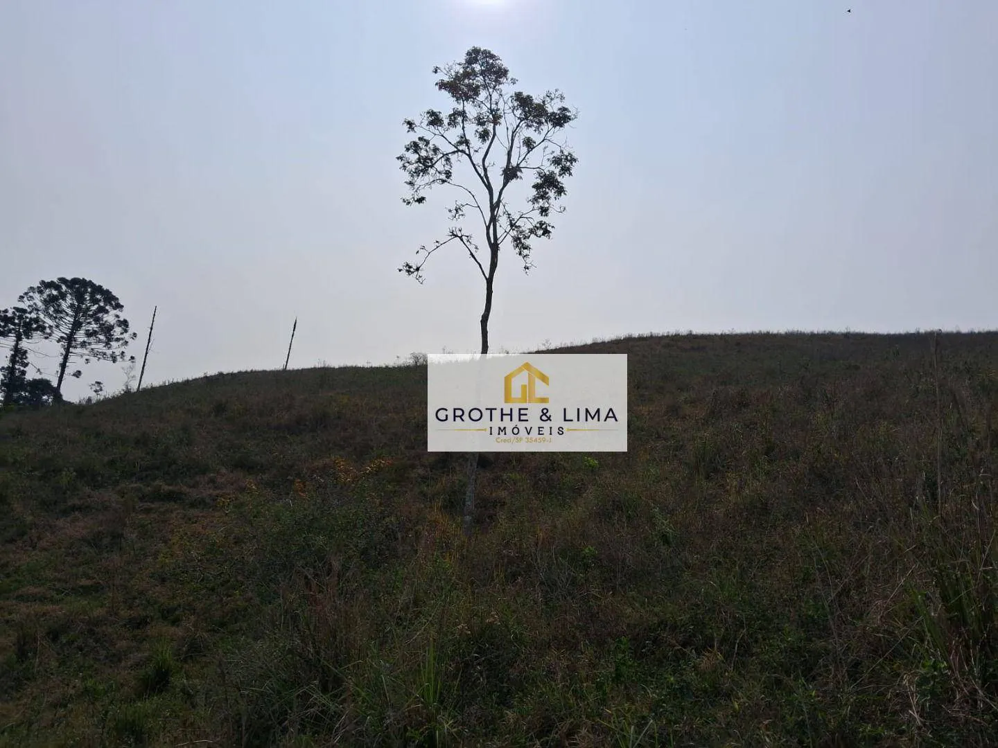 Small farm for sale of 24 acres in Lagoinha, SP, Brazil