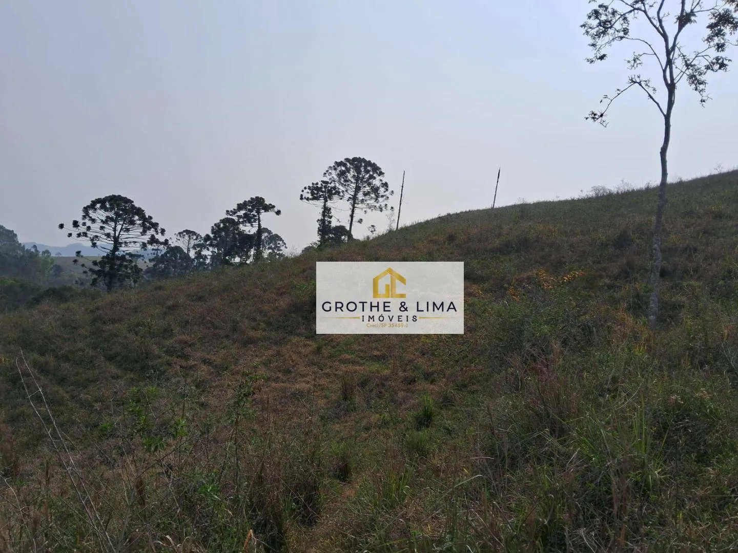 Small farm for sale of 24 acres in Lagoinha, SP, Brazil