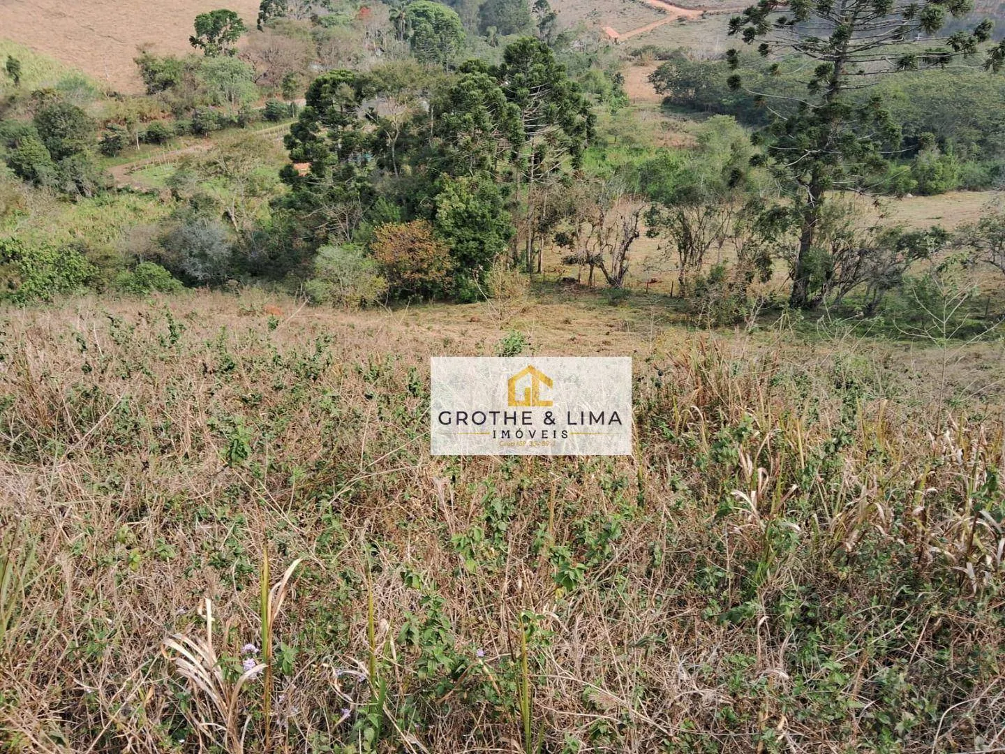 Small farm for sale of 24 acres in Lagoinha, SP, Brazil