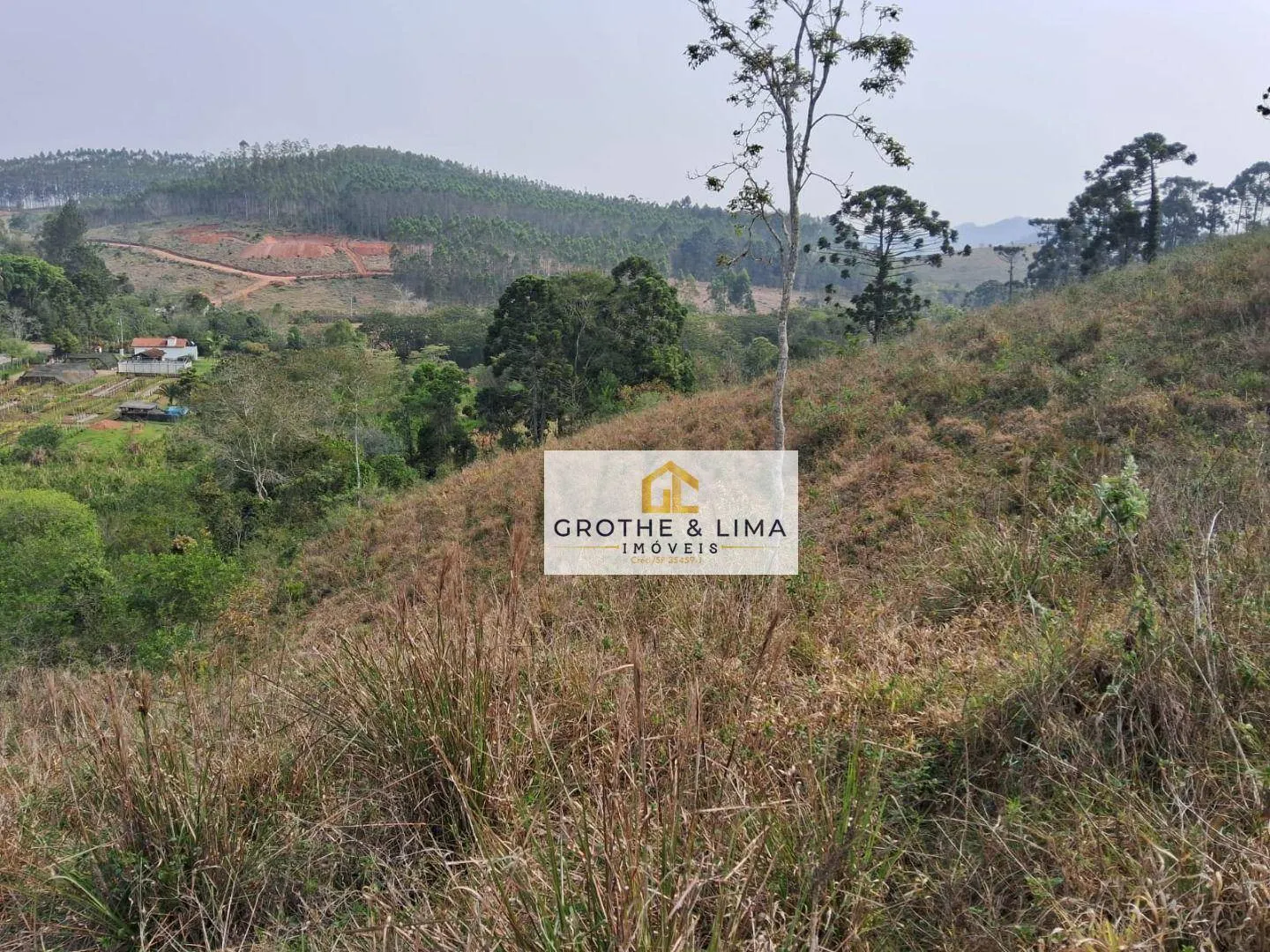 Small farm for sale of 24 acres in Lagoinha, SP, Brazil
