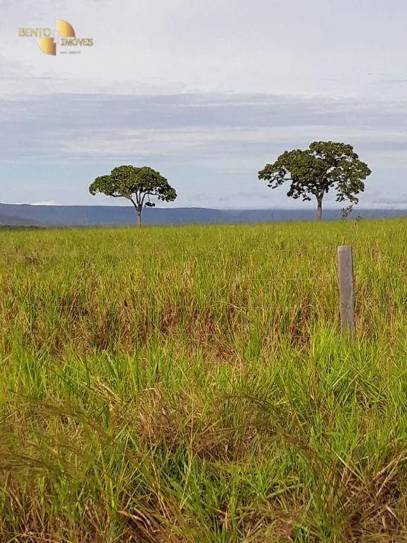 Farm for sale of 18,360 acres in Nova Mutum, MT, Brazil