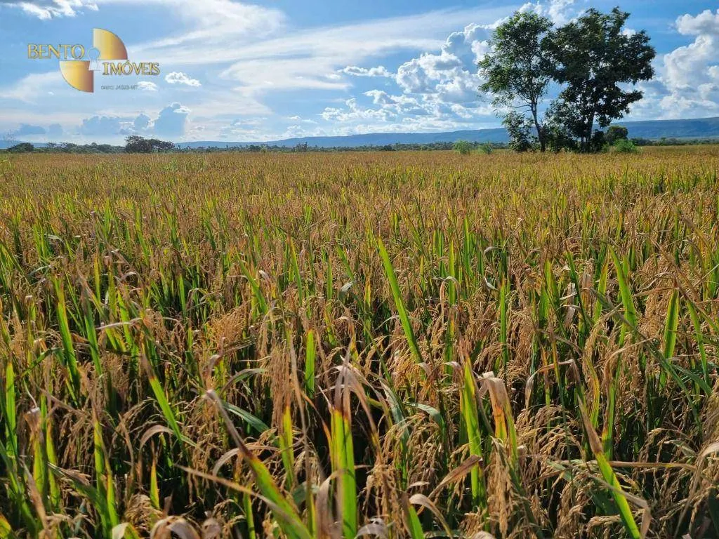 Farm for sale of 18,360 acres in Nova Mutum, MT, Brazil