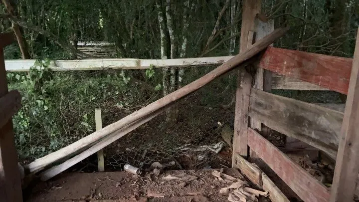 Chácara à venda de 3 ha em Taquara, RS, Brasil