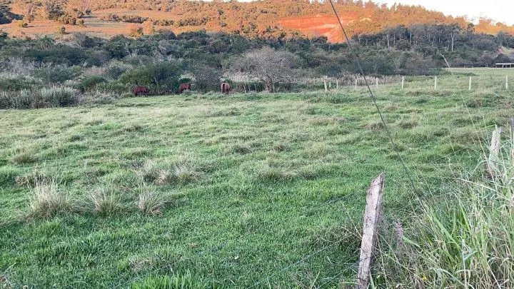 Chácara à venda de 3 ha em Taquara, RS, Brasil