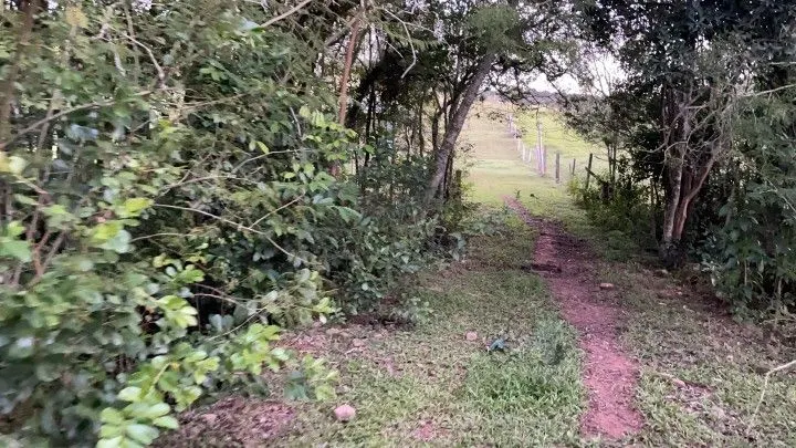 Chácara à venda de 3 ha em Taquara, RS, Brasil